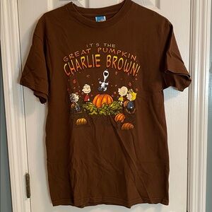 Peanuts Charlie Brown It’s The Great Pumpkin Adult T-Shirt Size Medium - EUC